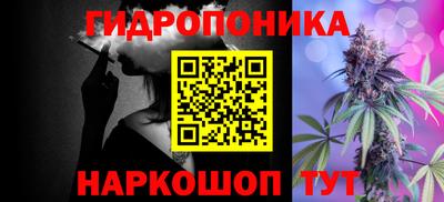 PSILOCYBIN Будённовск