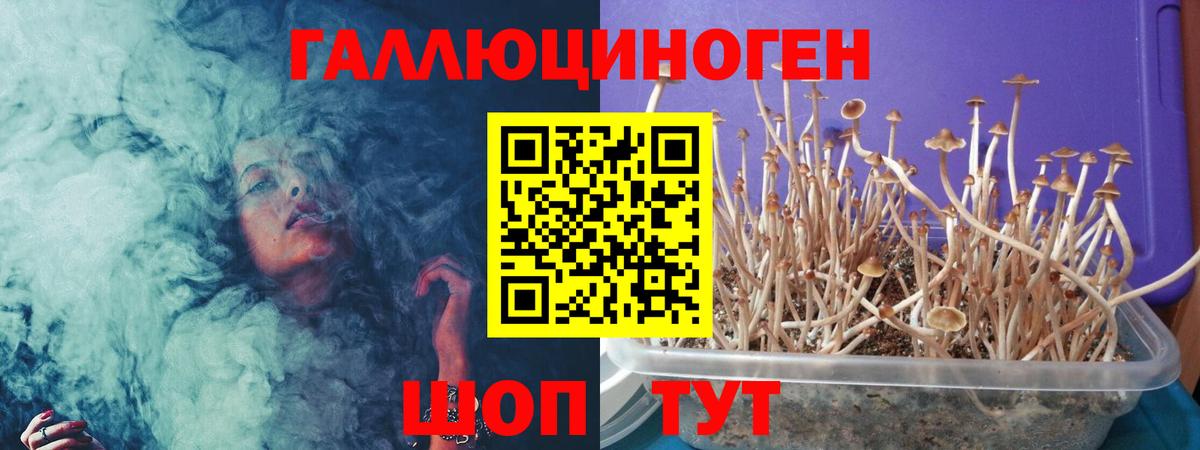 Псилоцибиновые грибы Psilocybe  дарнет шоп  Галлюциногенные грибы Cubensis  Северск  Вход с VPN 